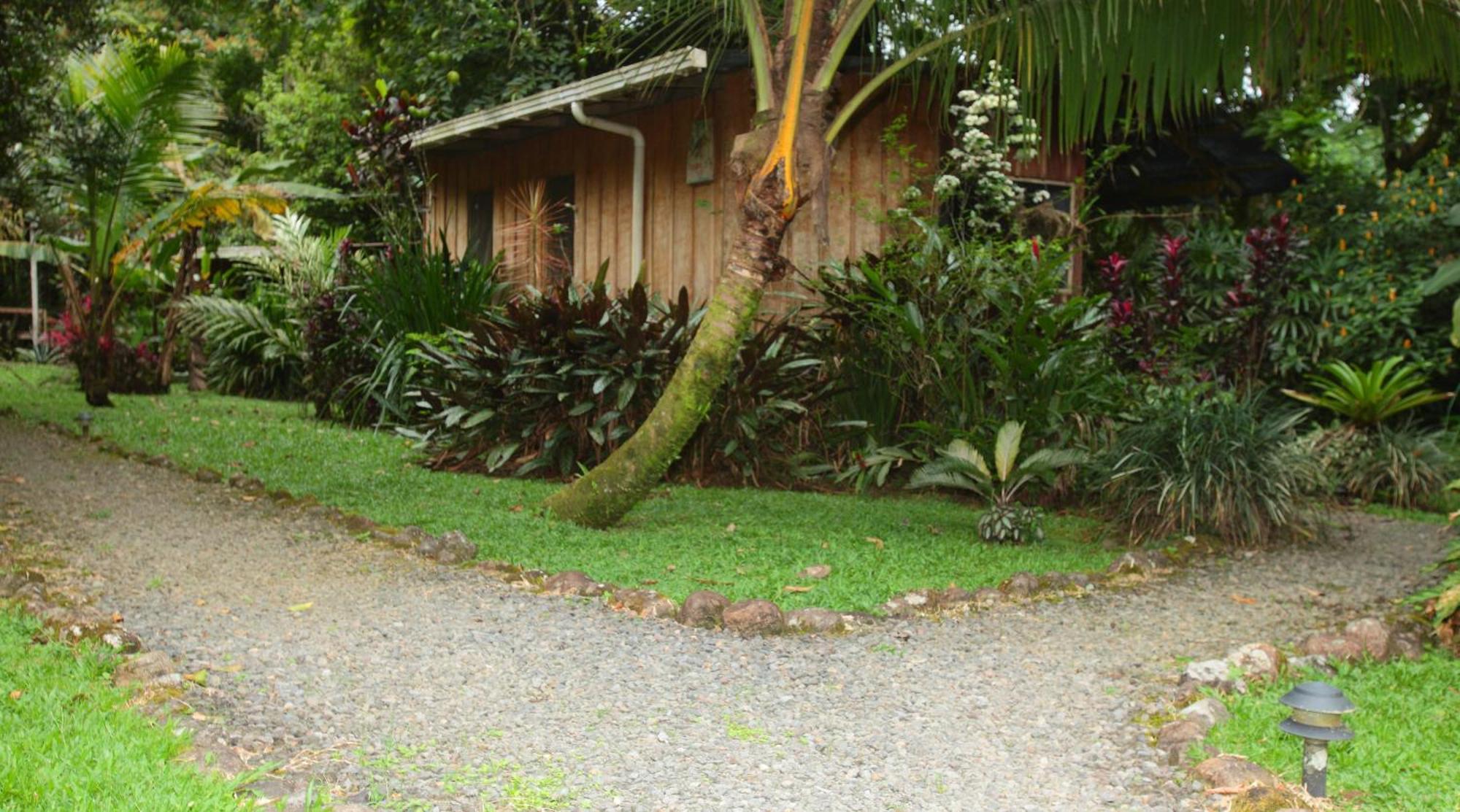 Guápiles Casa Rio Blanco Eco Friendly B&B מראה חיצוני תמונה
