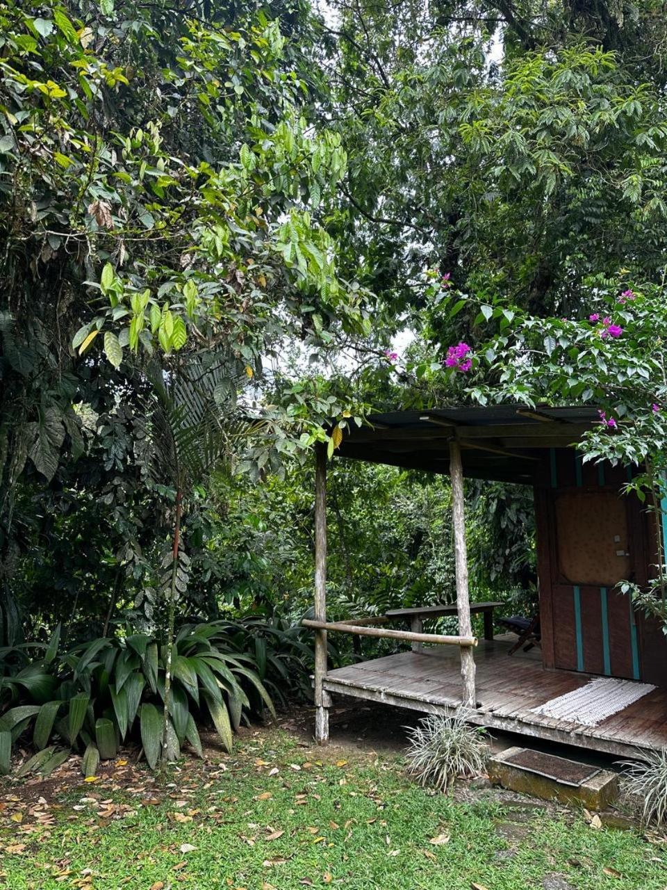 Guápiles Casa Rio Blanco Eco Friendly B&B מראה חיצוני תמונה