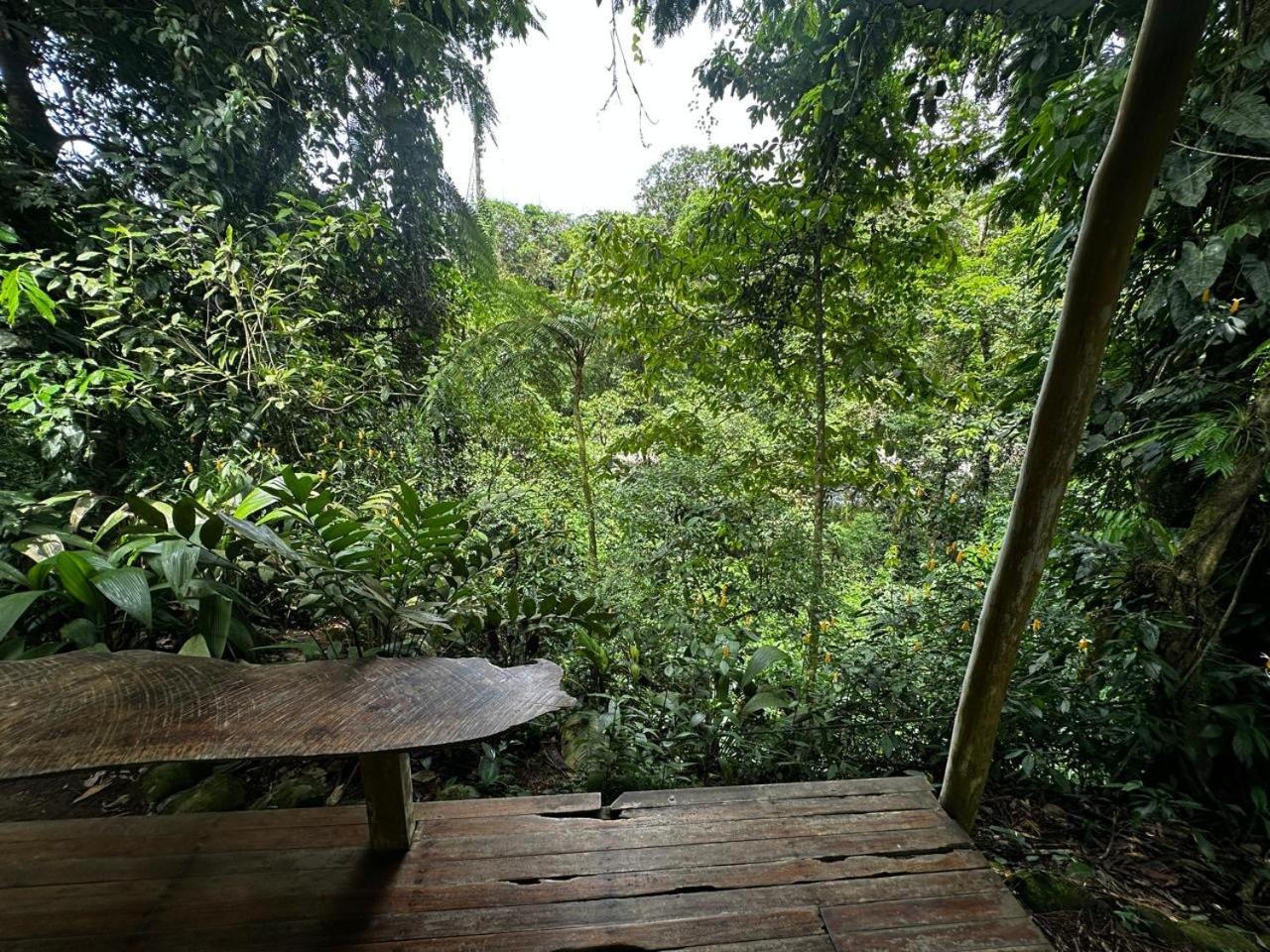 Guápiles Casa Rio Blanco Eco Friendly B&B מראה חיצוני תמונה