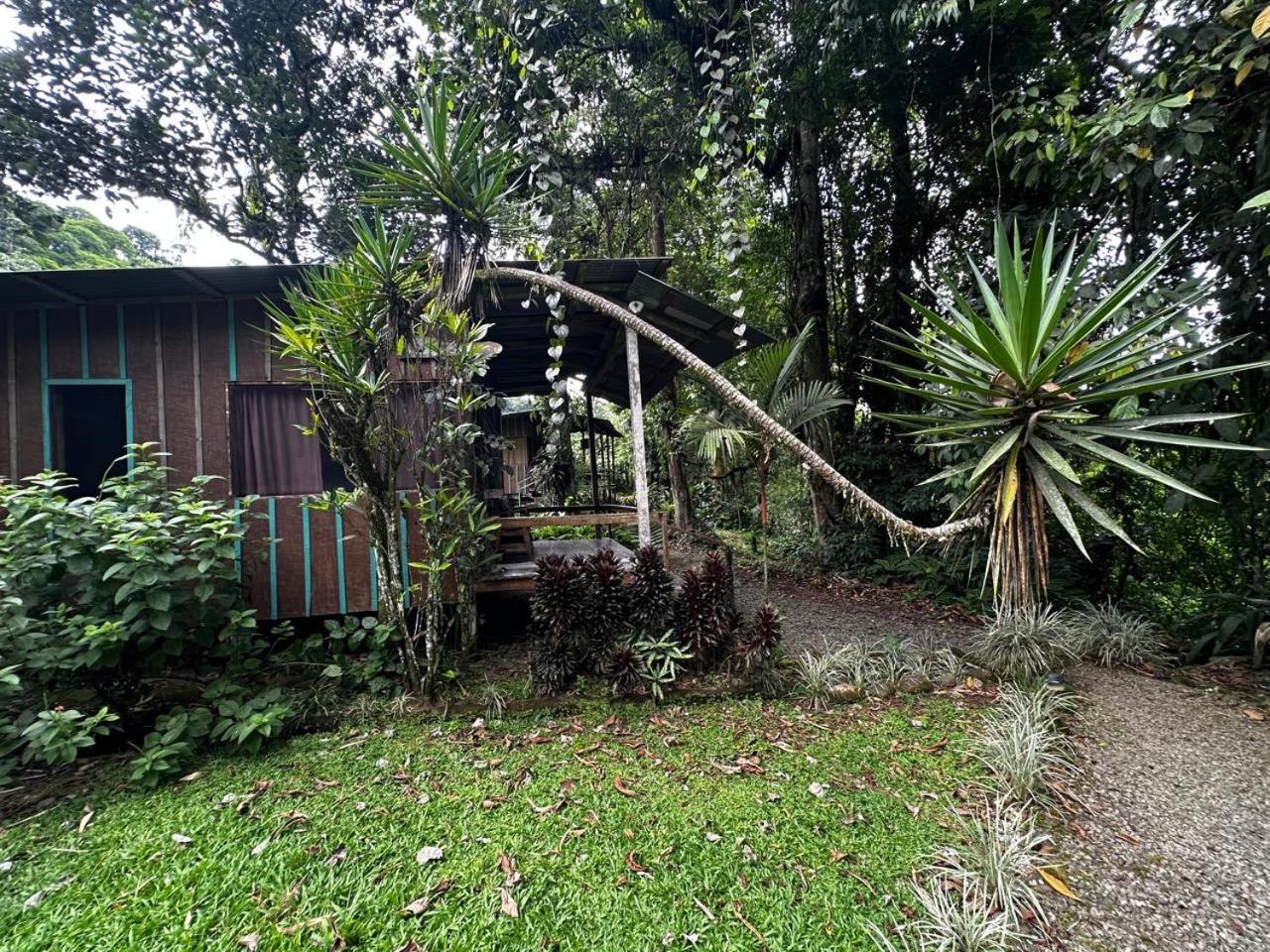 Guápiles Casa Rio Blanco Eco Friendly B&B מראה חיצוני תמונה