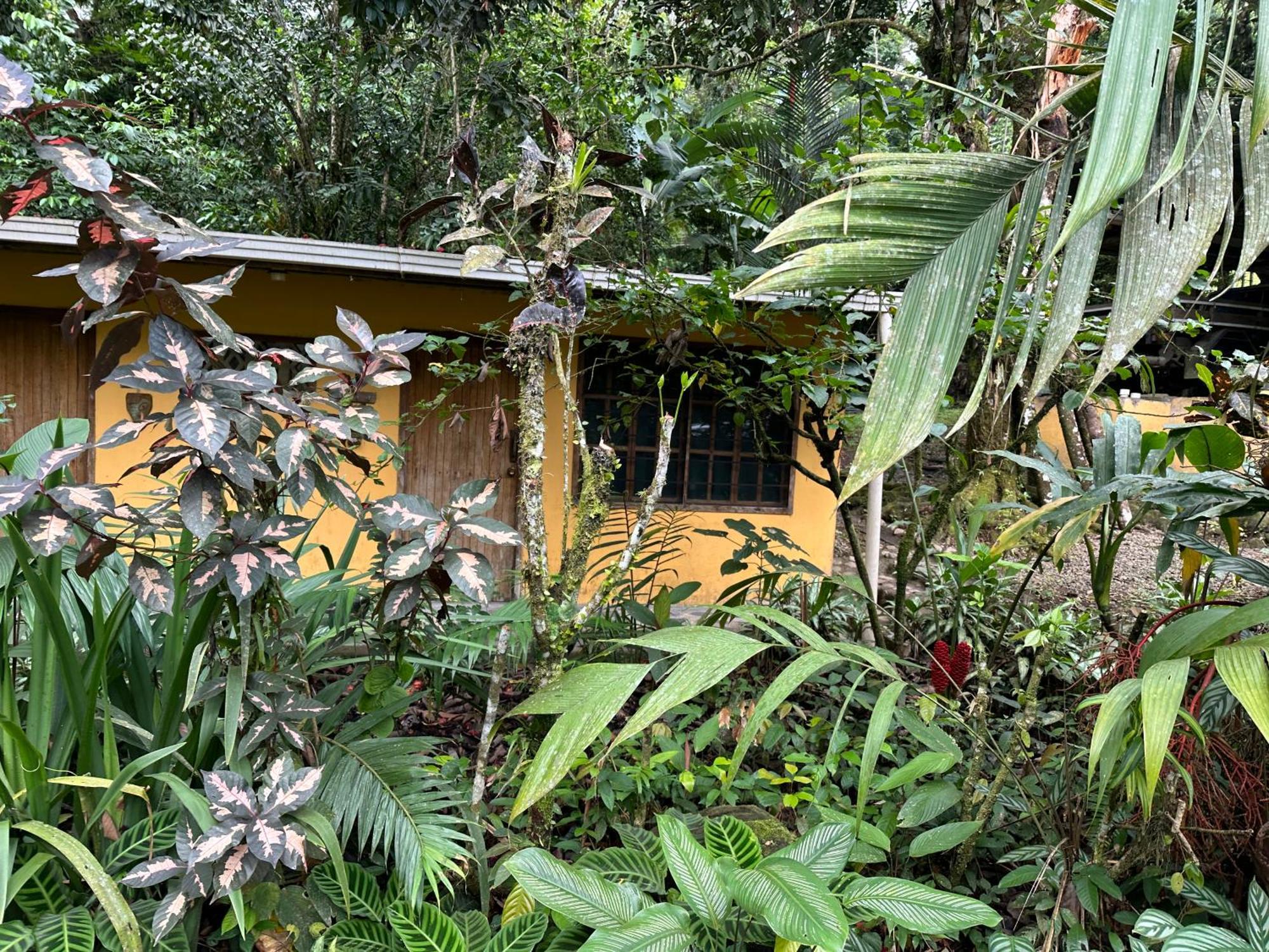 Guápiles Casa Rio Blanco Eco Friendly B&B מראה חיצוני תמונה
